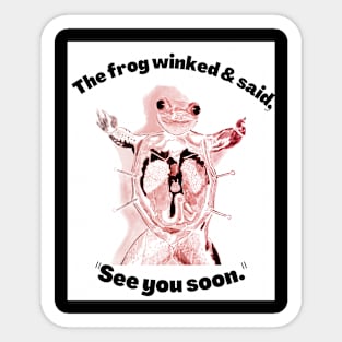 Frog Wink Sticker